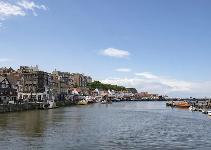 1 Webster Steps * ستيثيس